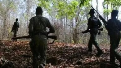 Screenshot 20251208 073009