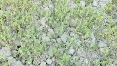 Screenshot 20251213 080149