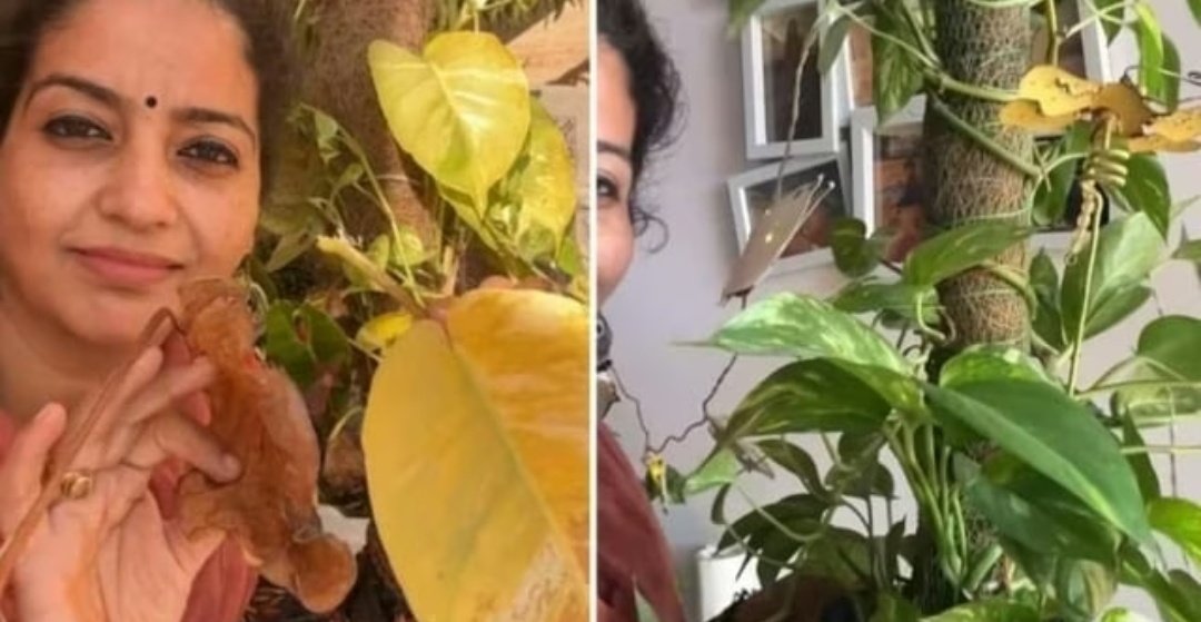 Screenshot 20251216 080356