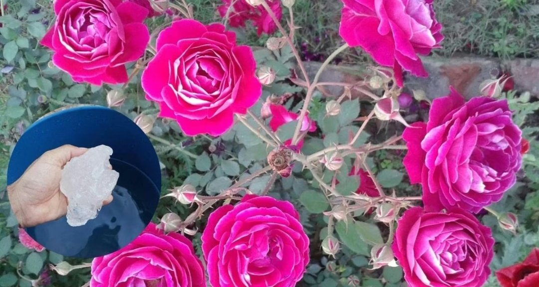 Screenshot 20251218 222805