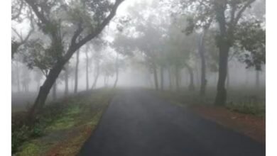 Screenshot 20251220 135914