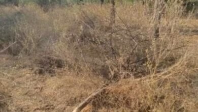 Screenshot 20251222 125130