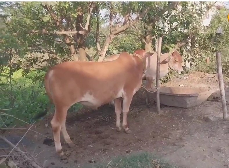 Screenshot 20251226 075702