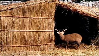 Screenshot 20251228 070606