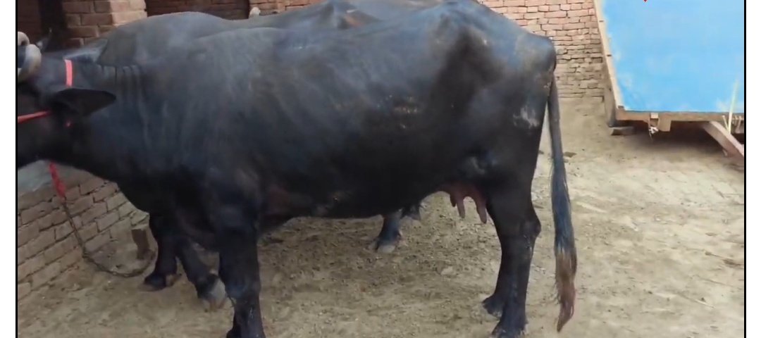 Screenshot 20251229 131722