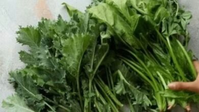 Screenshot 20251230 075401