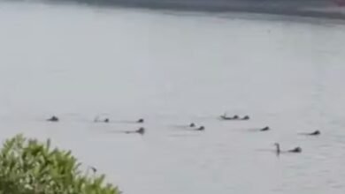 Screenshot 20251230 080634