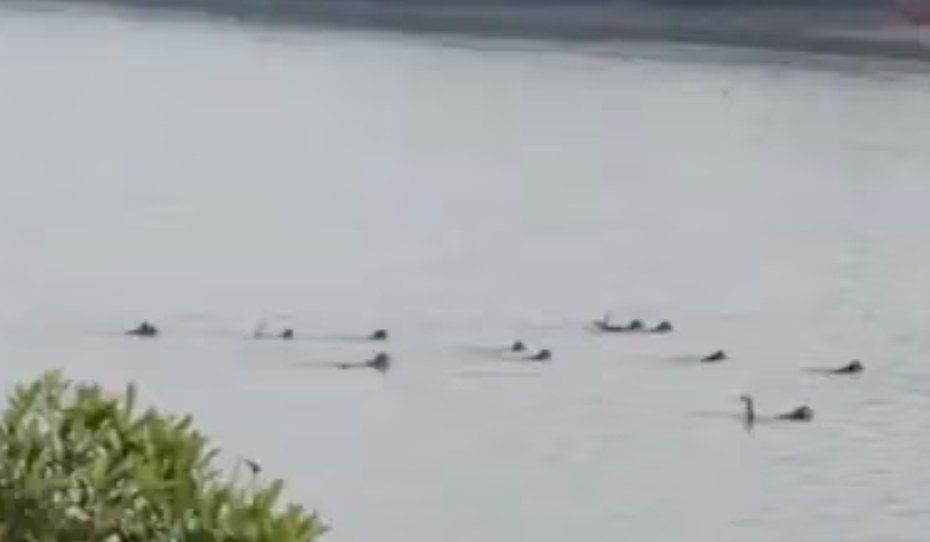 Screenshot 20251230 080634