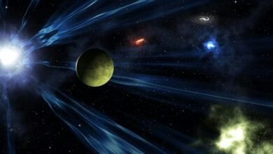 Screenshot 20251230 081648