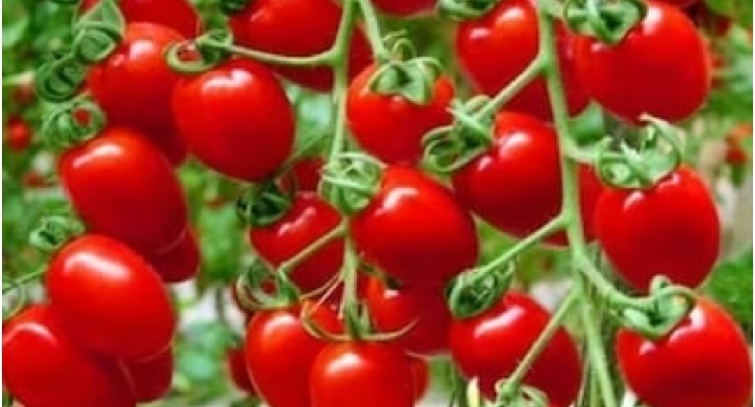 Screenshot 20260101 081248