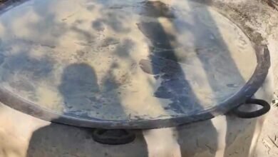 Screenshot 20260104 081912