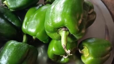 Screenshot 20260104 082328