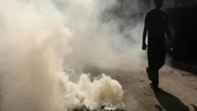 विचार: जहरीली हवा से पिघलते पहाड़ों तक, भारत की सांस और भविष्य दोनों खतरे में; झकझोर रहे हैं ‘लैंसेट’ और ‘इमोनीड्स’ के ये सर्वेक्षण 6 Screenshot 20260107 120312