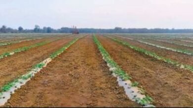 Screenshot 20260108 082229