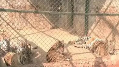 Screenshot 20260111 115941