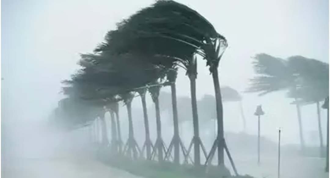 Screenshot 20260112 124425