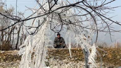 Screenshot 20260114 071711