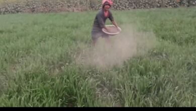 Screenshot 20260115 133324