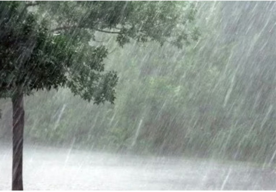 Screenshot 20260118 074533