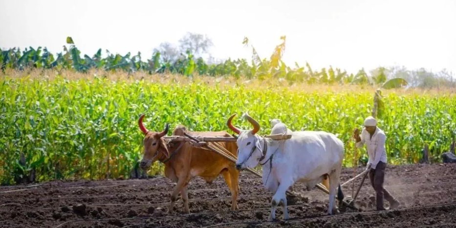 Screenshot 20260118 080049