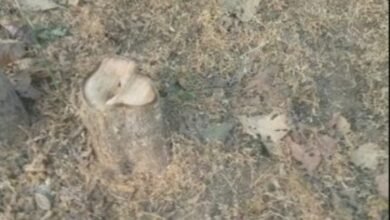 Screenshot 20260119 075203