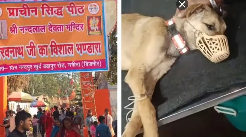 Screenshot 20260121 053054