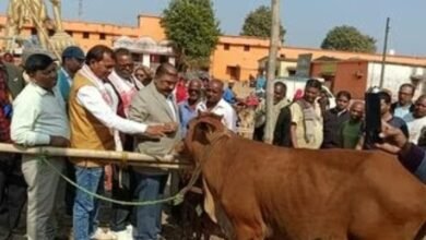 Screenshot 20260121 053557