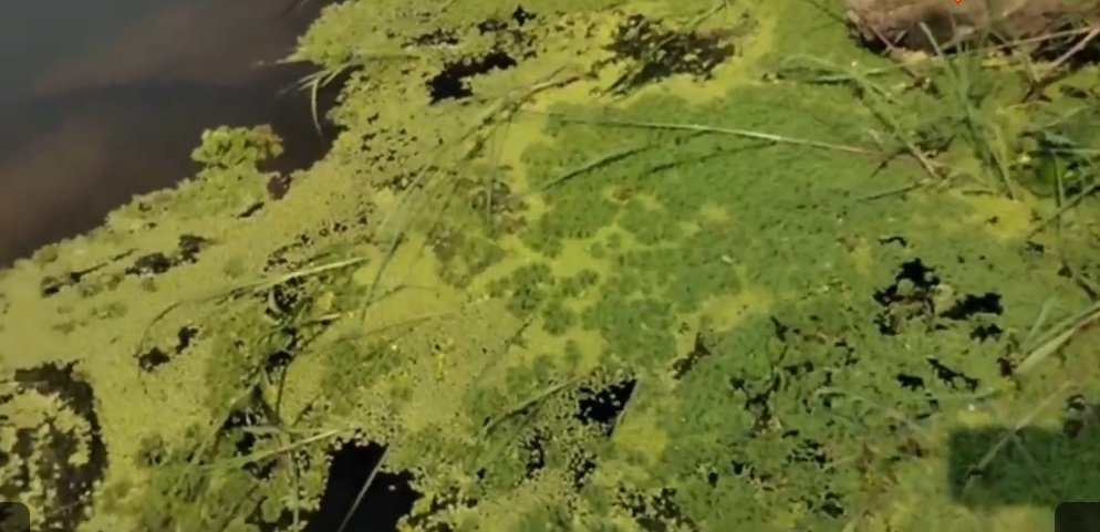 Screenshot 20260125 063931