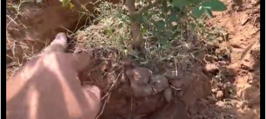 Screenshot 20260126 073257