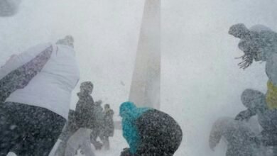 Screenshot 20260127 081052