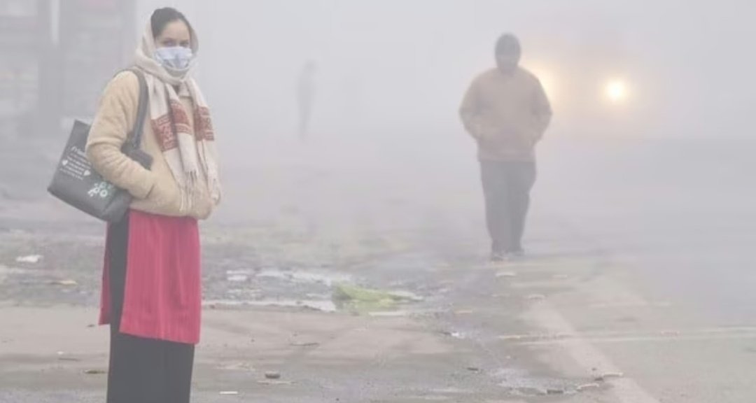 बर्फीली हवा ने बढ़ाई ठंड और कोहरे ने भी गिराया तापमान, कल से बारिश के आसार 1 Screenshot 20260131 090452