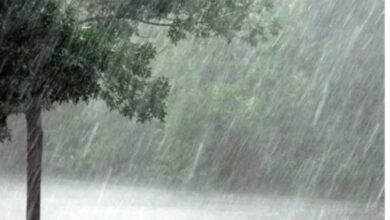 मौसम ने फिर ली करवट: 2, 3 और 4 फरवरी को होगी भारी बारिश, इन राज्यों में जमकर बरसेंगे बादल 6 Screenshot 20260202 074420