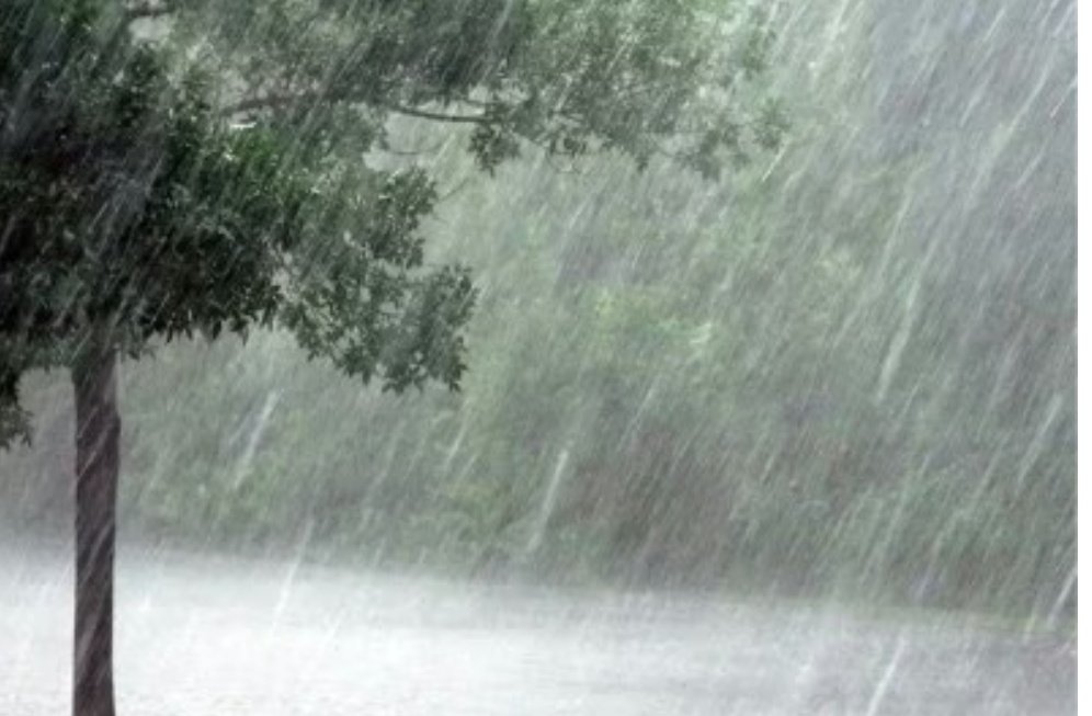 मौसम ने फिर ली करवट: 2, 3 और 4 फरवरी को होगी भारी बारिश, इन राज्यों में जमकर बरसेंगे बादल 1 Screenshot 20260202 074420