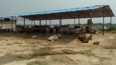 Screenshot 20260203 083953