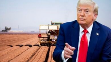 Screenshot 20260209 133145