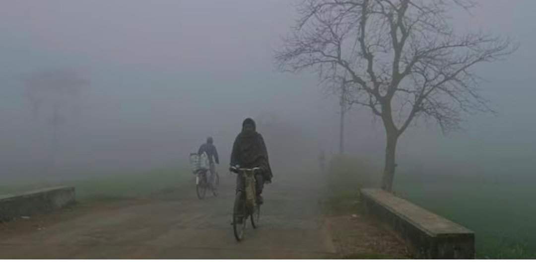 Screenshot 20260209 133326