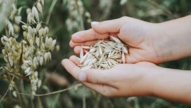 Screenshot 20260214 131507