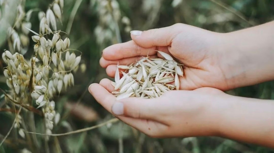 Screenshot 20260214 131507