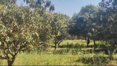 Screenshot 20260215 082045