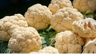 Screenshot 20260215 154744