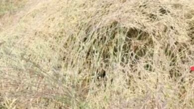 Screenshot 20260220 123951