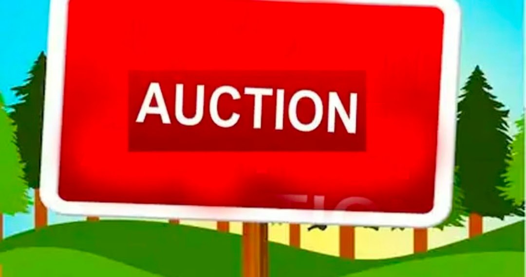 Screenshot 20260222 114123