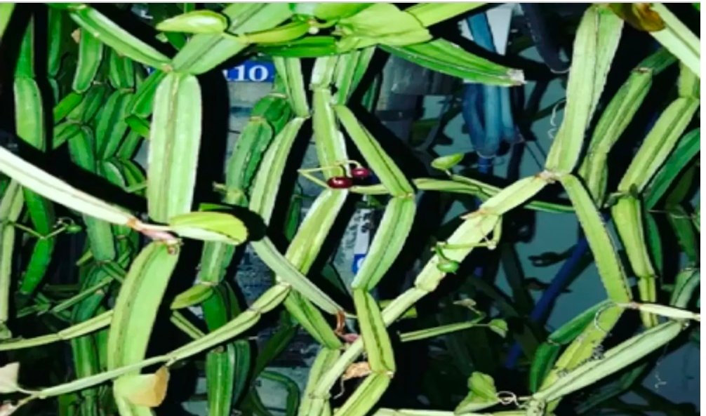 Screenshot 20260223 074927