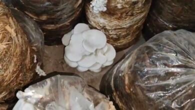 Screenshot 20260228 125957