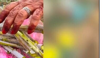 Screenshot 20260307 081256