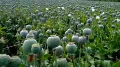 Screenshot 20260308 122832