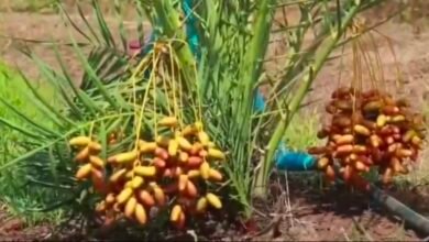 Screenshot 20260309 114301