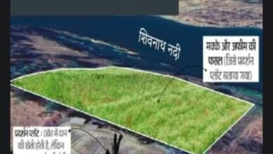 अब तीसरा खेत:किराए की जमीन पर 2 करोड़ की अफीम 3 Screenshot 20260314 114000