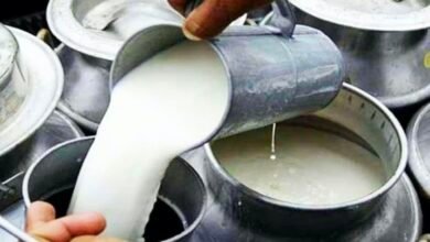 Screenshot 20260315 075641