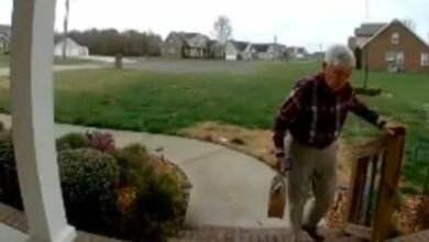 Screenshot 20260315 080229